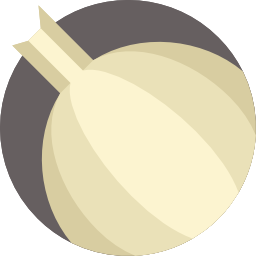 zwiebel icon