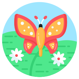 Butterfly icon