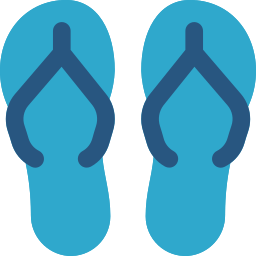 Flip flops icon