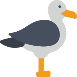 Seagull icon