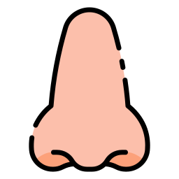 Nose icon