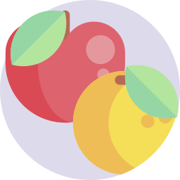 Healthy food icon