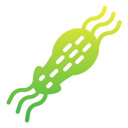 Bacteria icon