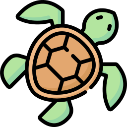 Turtle icon