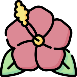 hibiskus icon