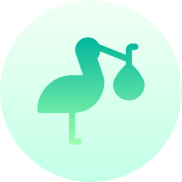 storch icon