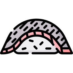 sanma icon