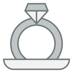 ring icon