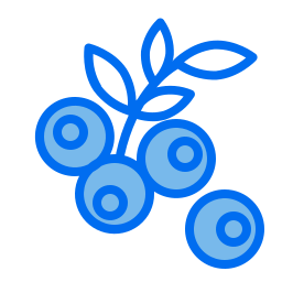 Blueberry icon