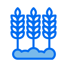 Wheat icon