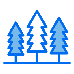 Pine icon