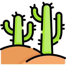 cactus icoon