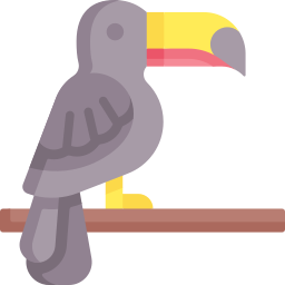 toucan Icône