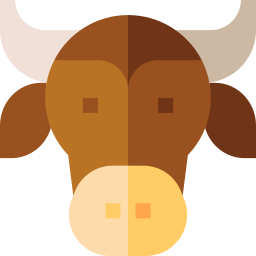 Bison icon