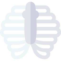 gabbia toracica icona