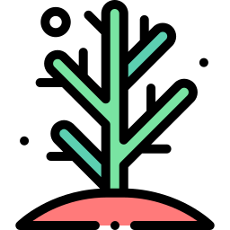 Coral reef icon