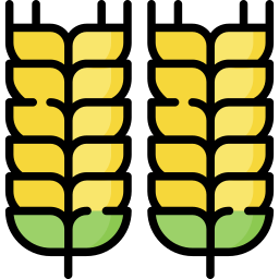 Wheat icon