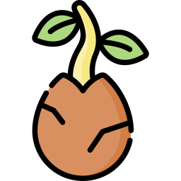 Seed icon