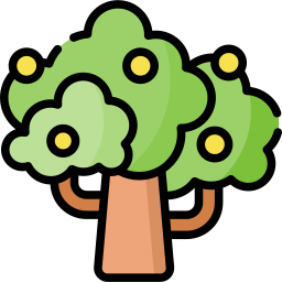 Tree icon