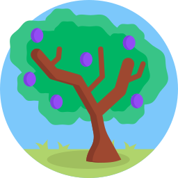 Fruit tree icon