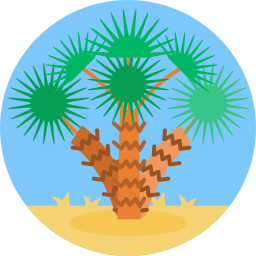 palme icon