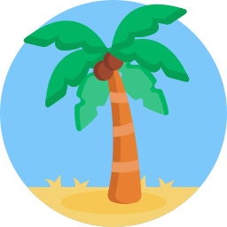 Coconut tree icon