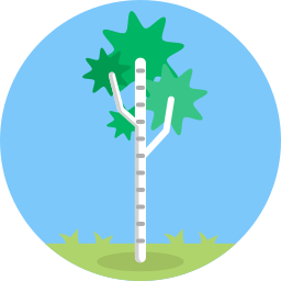 Tree icon