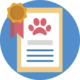 Certificate icon