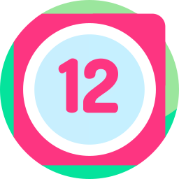 12 icon