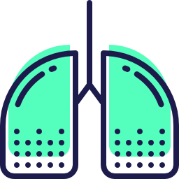 Lungs icon