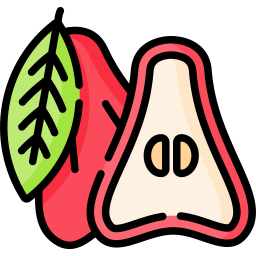 Rose apple icon