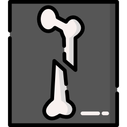 X rays icon