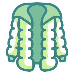 Puffer coat icon