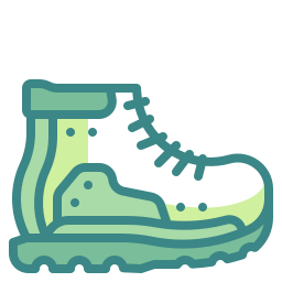 Shoes icon