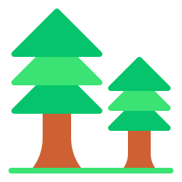 Pine tree icon