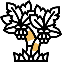 palmier Icône