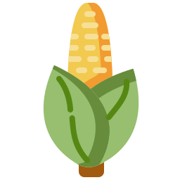 Corn icon