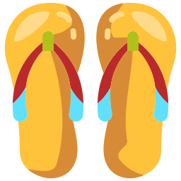 flip flops icon