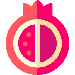 Pomegranate icon