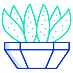 Cactus icon