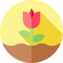 tulpe icon