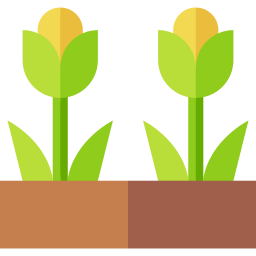 Tulips icon