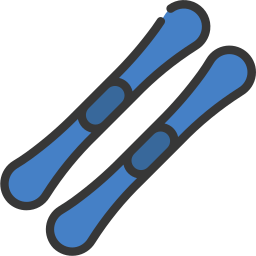 Skis icon