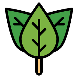 Leaf icon