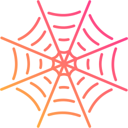 Spider web icon