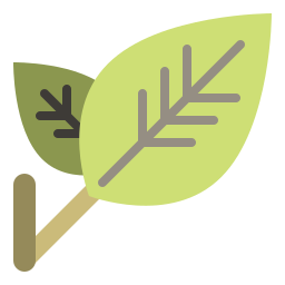 Leaf icon