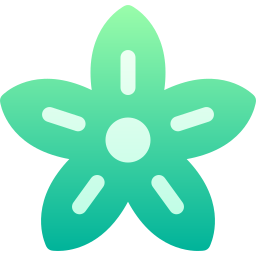 Anise icon