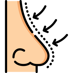 Rhinoplasty icon