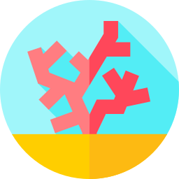 Coral icon