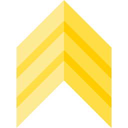 chevron Icône